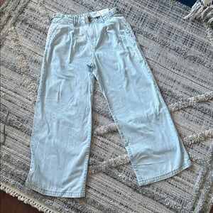 American Eagle Light Blue Wide Leg Trouser